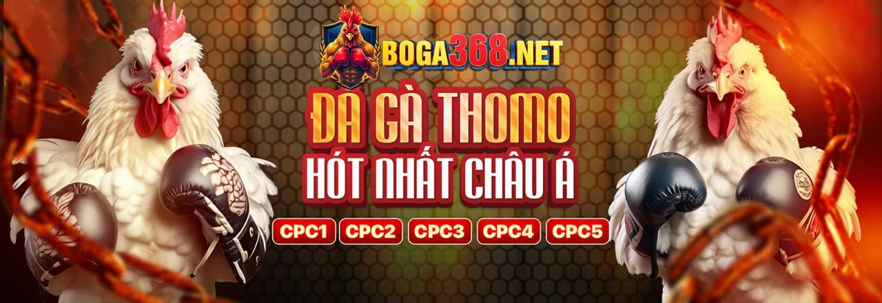 Chương trình VIP hcm666 chính thức, ưu đãi độc quyền