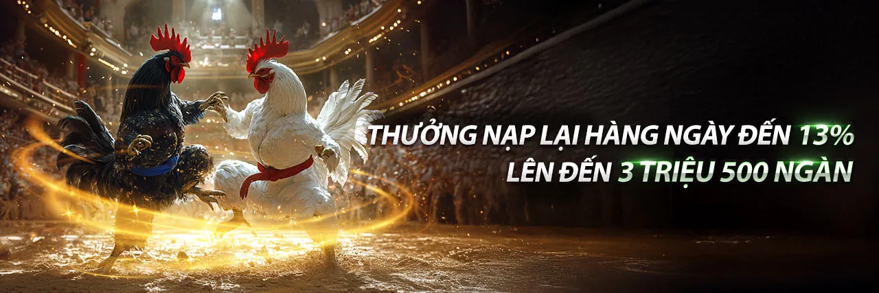 Các ưu đãi và khuyến mãi mới nhất từ hcm666 chính thức